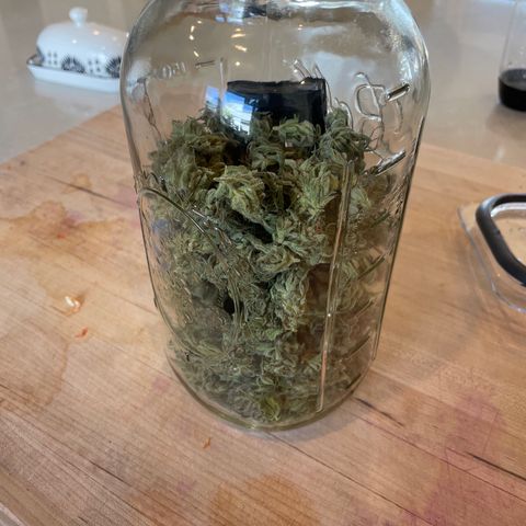 Bear growlog timeline photo