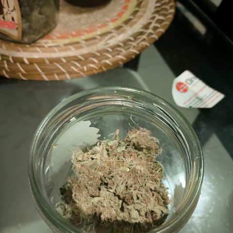 Catnabis  #04 growlog photo: Embotellado 
