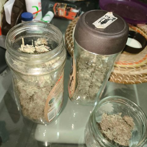 Catnabis  #04 growlog photo: Embotellado 