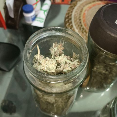 Catnabis  #04 growlog photo: Embotellado 