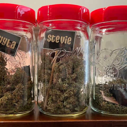 Twyla Sands growlog photo: Curing