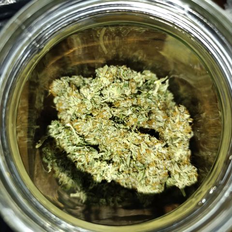 Ak-47 Auto growlog photo: Salve ✌🏾 agora que passou 8 dias secando foi para o pacote peguei um de 2L o rendimento foi fantástico, para o primeiro cultivo 97g de flor já trimada, foi melhor do que eu esperava 😁 deixe os Top Bud por baixo vou mostrando a cura pra vcs amanhã chega o Bovedo 62% comprei o de 60g ...