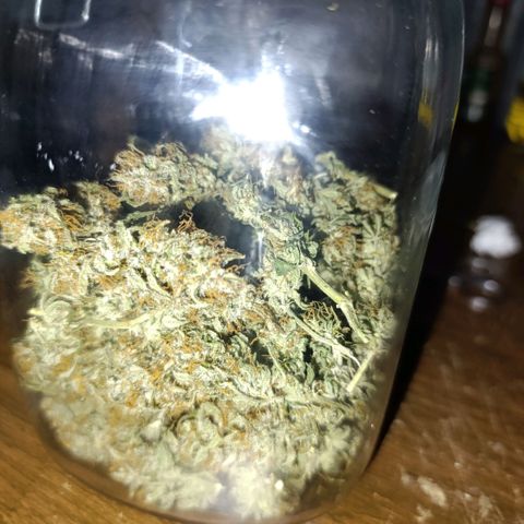 Ak-47 Auto growlog photo: Salve ✌🏾 agora que passou 8 dias secando foi para o pacote peguei um de 2L o rendimento foi fantástico, para o primeiro cultivo 97g de flor já trimada, foi melhor do que eu esperava 😁 deixe os Top Bud por baixo vou mostrando a cura pra vcs amanhã chega o Bovedo 62% comprei o de 60g ...