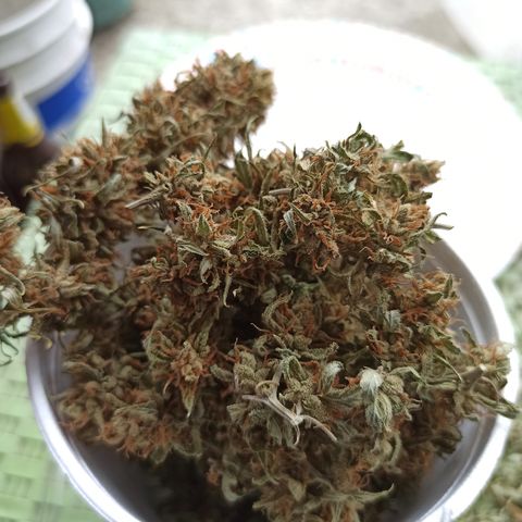 Enana #1 m-2 la Torre Eiffel 🗼 growlog timeline photo