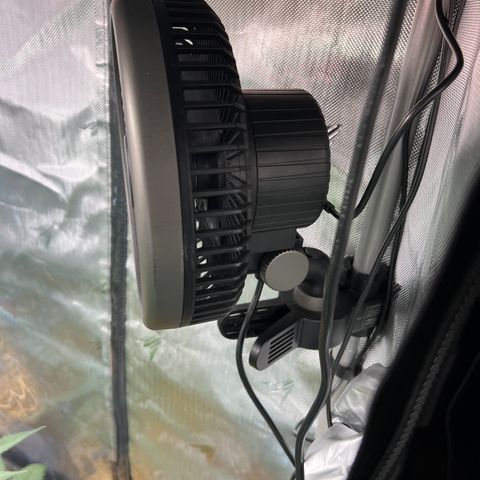  Bubble Gum x 88g13/hp #2 growlog photo: Clip fan #3 now programmed through Controller 69 Pro+