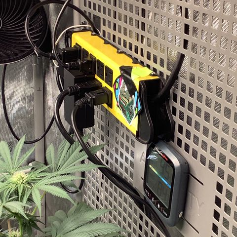  Bubble Gum x 88g13/hp #2 growlog timeline photo