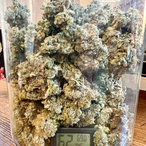  Bubble Gum x 88g13/hp #2 growlog timeline photo
