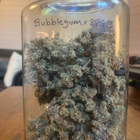 Bubble Gum x 88g13/hp #2 growlog timeline photo