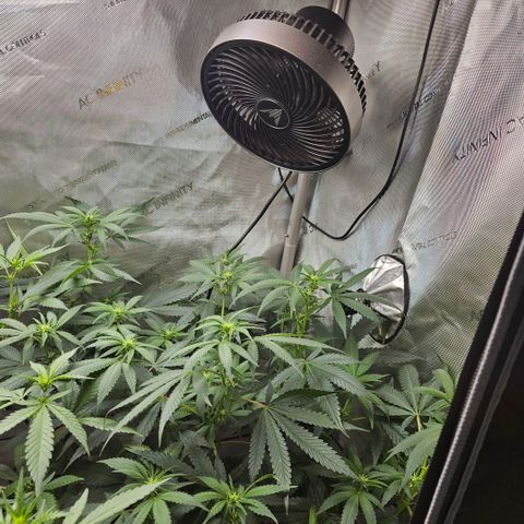 PPP growlog timeline photo