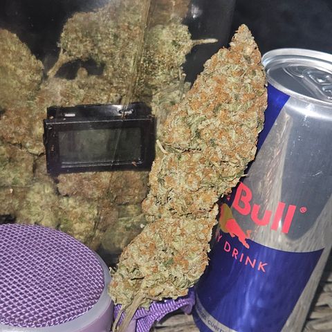 PPP growlog timeline photo