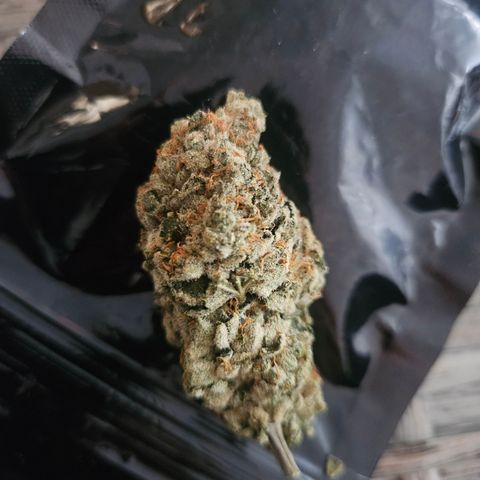 Kosher Kush growlog timeline photo
