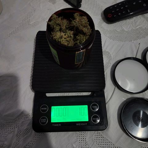 Somango XL growlog timeline photo