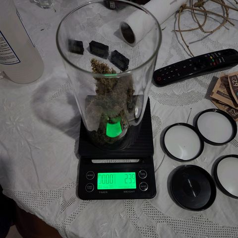 Somango XL growlog timeline photo