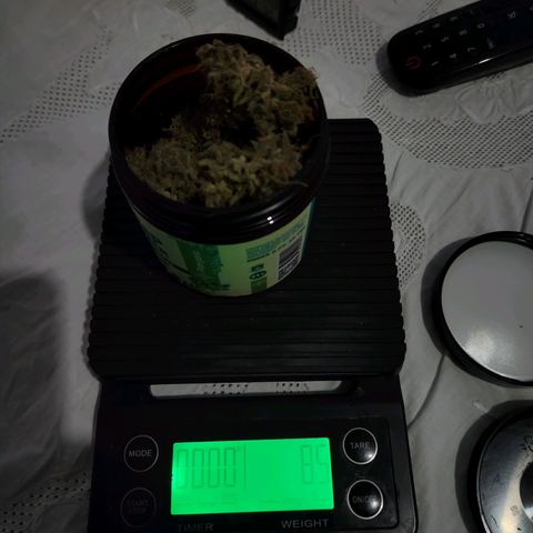 Somango XL growlog timeline photo