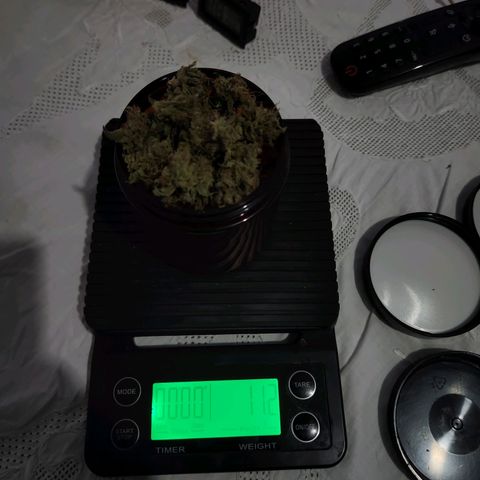 Somango XL growlog timeline photo