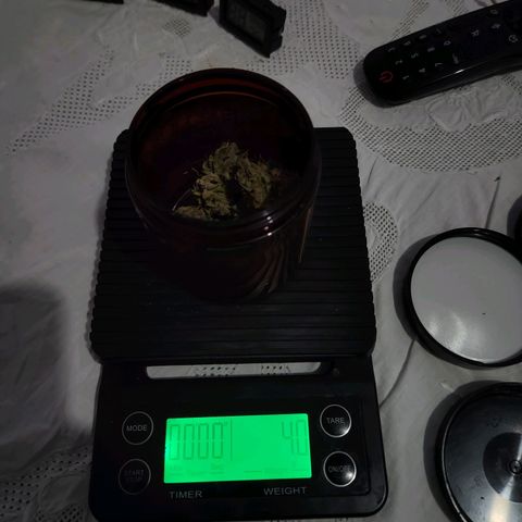 Somango XL growlog timeline photo