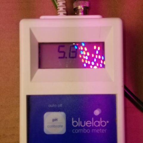 SSH1 growlog photo: Omg, she's looking beautiful 
