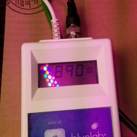 SSH1 growlog photo: Really looking great 