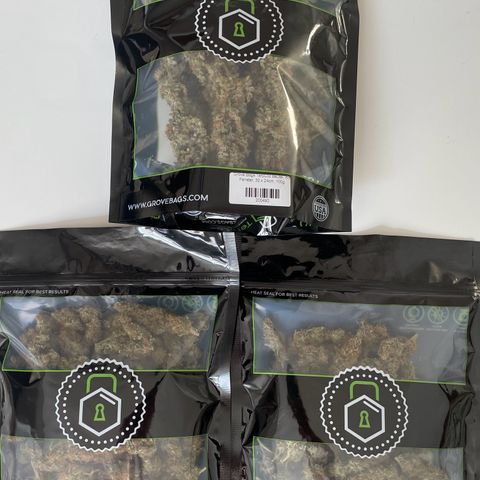 Blue Cheese Auto growlog photo: 3 x 33g brauchbares Material in Grovebags

Vernichtet per Kompost:
50g Popcorn
30g Verschnitt 
Stängel und Blattwerk