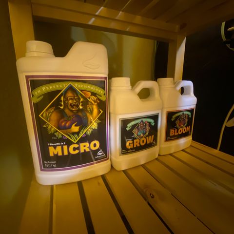 Lemon haze growlog timeline photo