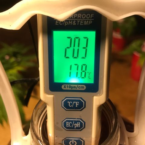 Limona growlog timeline photo