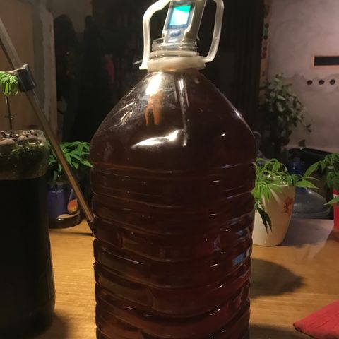 Limona growlog timeline photo