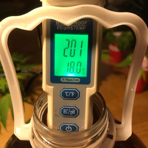 Limona growlog timeline photo