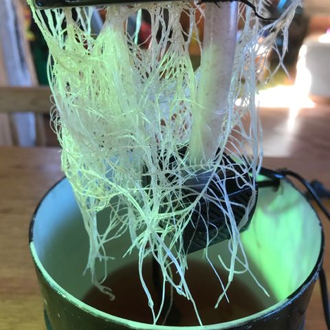 Fuego growlog timeline photo