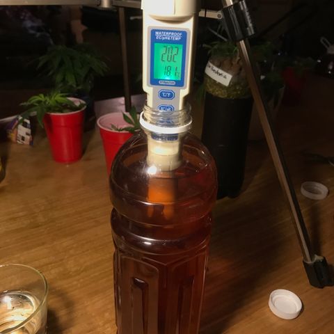 Limona growlog timeline photo