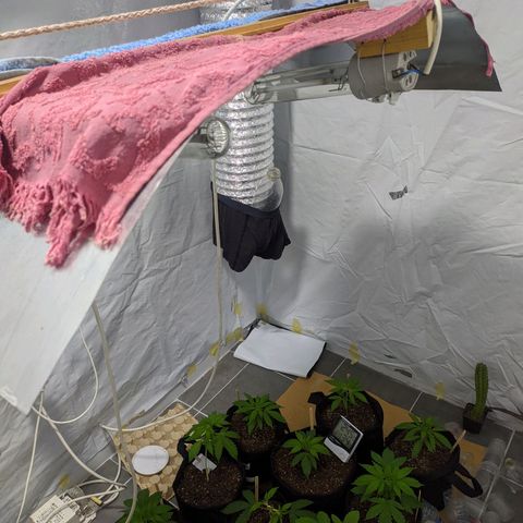 Öncü growlog timeline photo