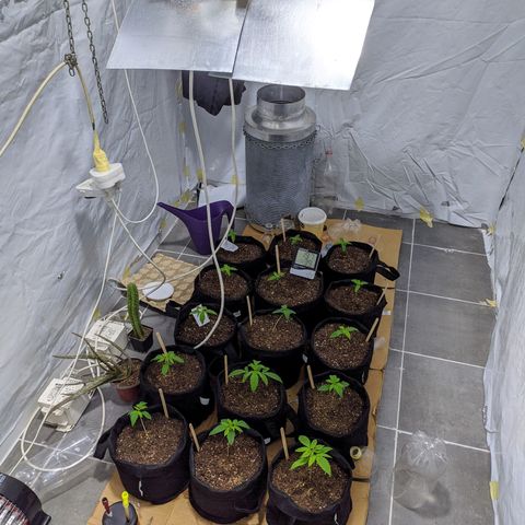 Öncü growlog timeline photo