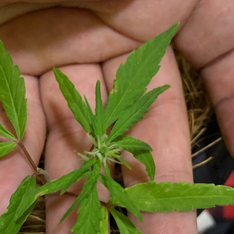 P001 growlog timeline photo