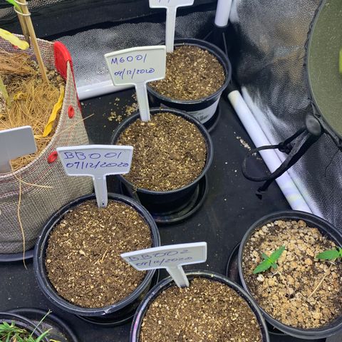 MG001 growlog timeline photo
