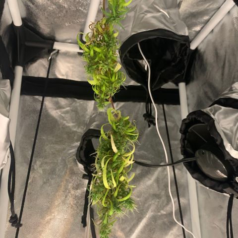 P001 growlog timeline photo