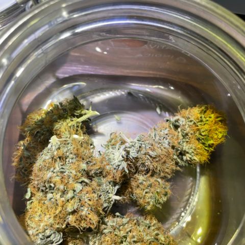 MG001 growlog timeline photo