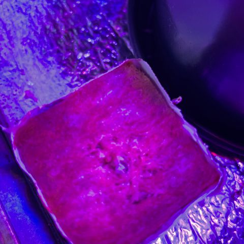 FBA001 growlog timeline photo
