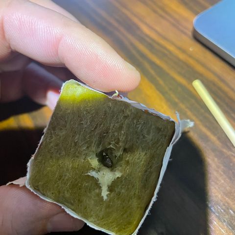 FBA001 growlog timeline photo