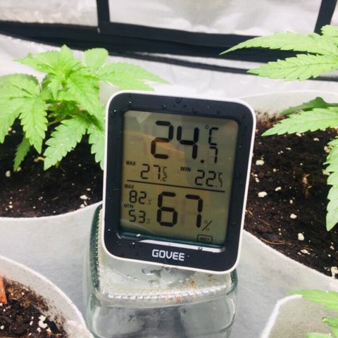 África GP I growlog timeline photo
