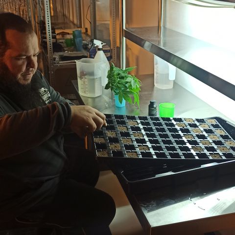 Kompolti A1 (195 db magonc) growlog timeline photo
