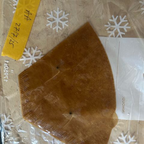Amsterdam Amnesia # 6  growlog photo: 2 days in wet coffee filter paper, then planted. 