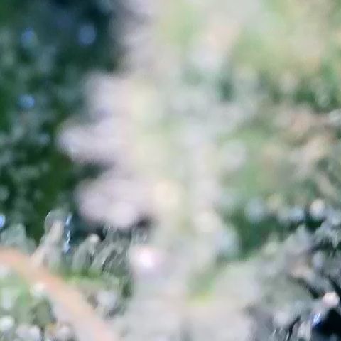 AMG #3 growlog timeline photo