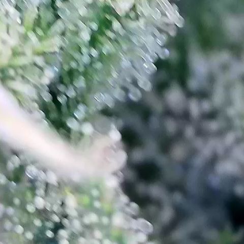 AMG #3 growlog timeline photo