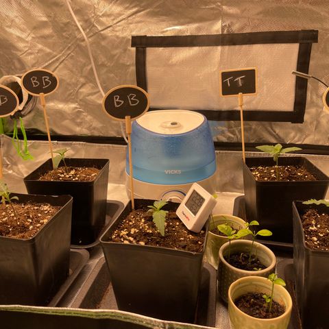 Génétique inconnue growlog timeline photo