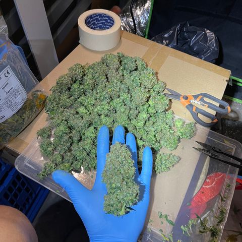 Génétique inconnue growlog timeline photo