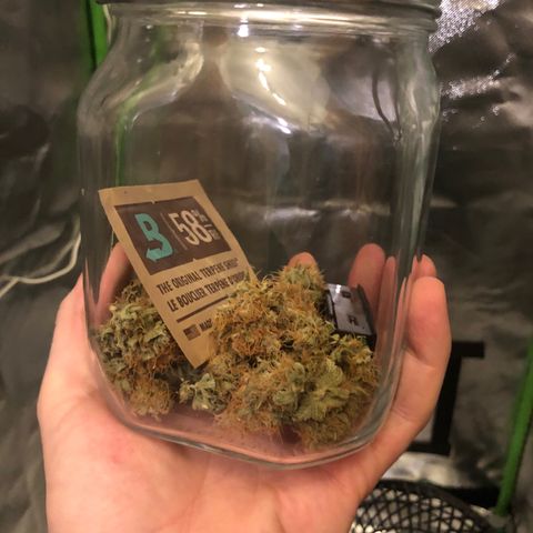 Henriette growlog timeline photo