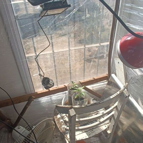 Zaza de fin de año growlog photo: 14:00 sol pleno ☀️