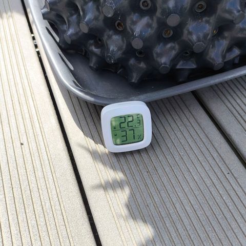 Amnesia Haze Automatic growlog timeline photo