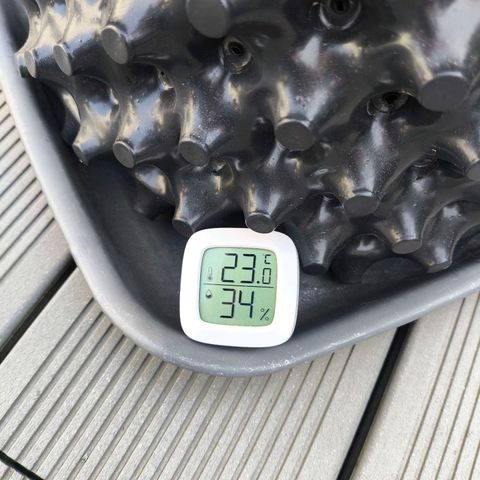 Amnesia Haze Automatic growlog timeline photo