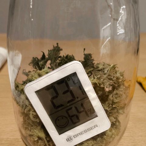 Amnesia Haze Automatic growlog photo: Finale 😄