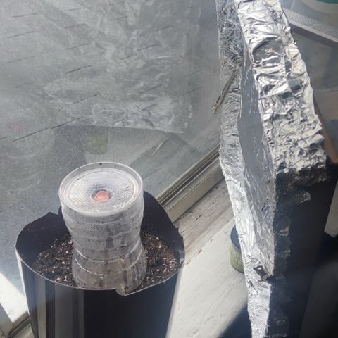 Godfather OG growlog timeline photo